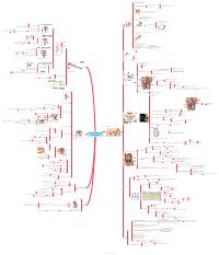 Schema apparato genitale maschile