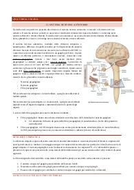Appunti di Anatomia Umana (sistemi e sensi)