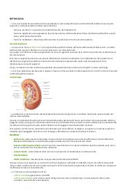 Dispensa completa di nefrologia