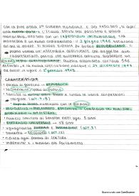 riassunti di educazione civica
