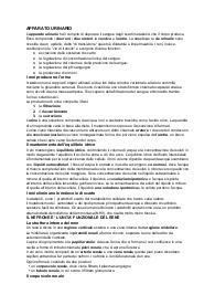 Apparato Urinario