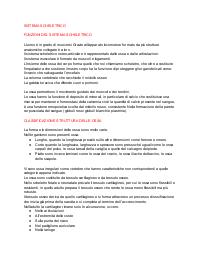 il sistema scheletrico