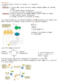 Appunti completi sul metabolismo