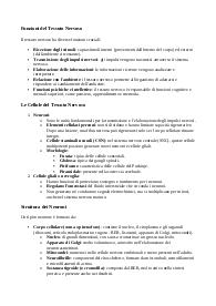 Il tessuto nervoso