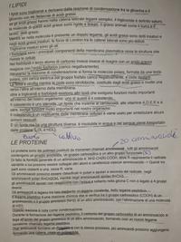 Appunti sui lipidi e proteine