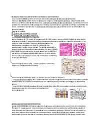 Appunti di anatomia Vet