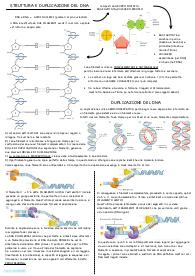 Biologia DNA
