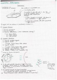 Appunti di Compatibilità Elettromagnetica, prof. Cicchetti, Sapienza