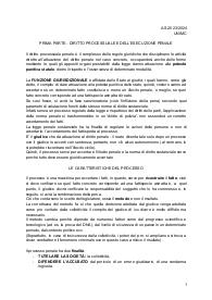 Appunti di Diritto processuale e dell'esecuzione penale, Prof.ssa Bosco, Unimc, 2023