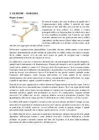 Biologia Animale e Vegetale