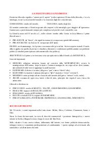 Filosofia - da Talete a Socrate