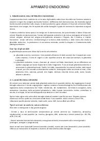 Apparato endocrino
