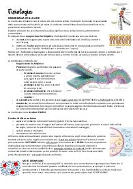 Fisiologia degli animali