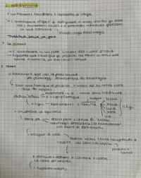 Verga - I Malavoglia (1)