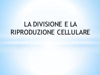 la divisione e la riproduzione cellulare
