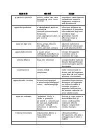 schema sul corpo umano