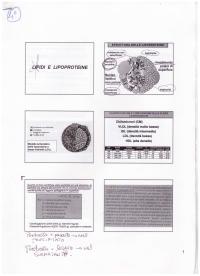 Analisi Biochimico Cliniche - Lipidi e lipoproteine.