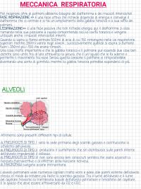 Appunti di fisiologia