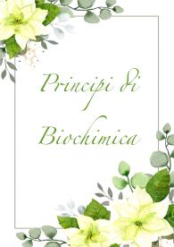 Riassunti ed Esami di principi di Biochimica