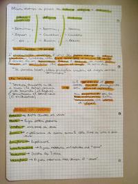 Letteratura 2