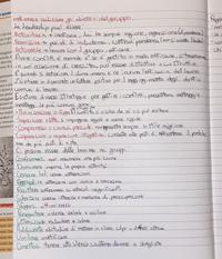 bullismo e cyberbullismo