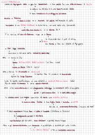 Luigi Pirandello, riassunto per maturità