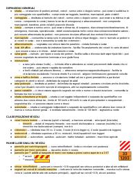 PATENTE APPUNTI COMPLETI