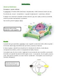 Appunti di botanica I parte