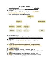 Appunti: Le biomolecole