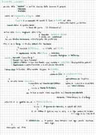 Giuseppe Ungaretti, riassunto per maturità