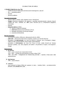 USI Storia dei media - appunti