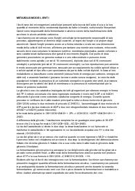 metabolismo dei lieviti