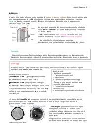 Il Legno - Materiali per il design