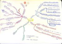 GENETICA - Mappe concettuali per test medicina e professioni sanitarie