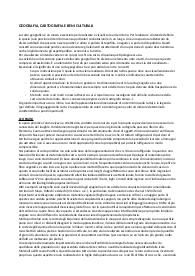 Geografia, Cartografia e Beni Culturali