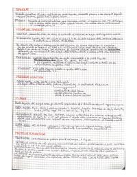 Anatomia / Fisiologia