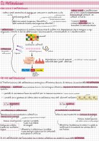 appunti sul metabolismo dei carboidrati