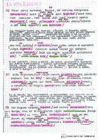 Analisi e traduzione letterale del De brevitate vitae di Seneca, 1, 1-4