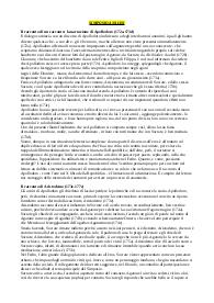 Riassunto e analisi del Simposio di Platone