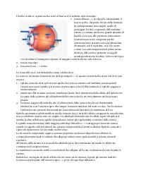Appunti di fisiologia oculare, corso di laurea di ottica e optometria