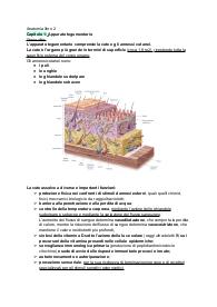 apparato tegumentario anatomia