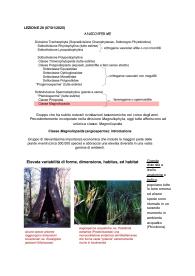Appunti di BOTANICA SISTEMATICA quinta parte, prof Domenico Gargano, 2024