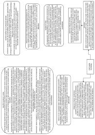 Schema sul Tessuto Nervoso