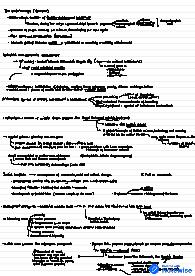 Victorian age, Jane Austen, Coleridge