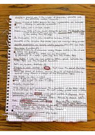 Appunti di lezione del corso "English literature and culture 2", docente Stelzer