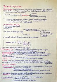 Riassunti sulla mineralogia (Scienze della Terra)