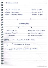 BIOTECNOLOGIE