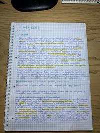 Filosofia 5 anno liceo, hegel