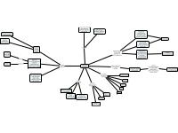 schema cellule staminali