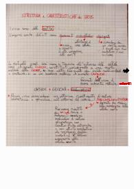 I Virus: Riassunto e Schema, Schemi e mappe concettuali di Biologia, microbiologia
